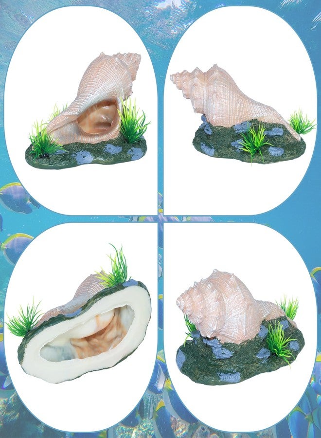 AnRui Ceramic Conch with Holes and Two Small Fish Thematic Betta Fish Tank Accessory Decor Ornament for Fish Passing or Hiding Safely,Aquarium Decoration for Small and Medium Animal (Cute 1) - Image 3